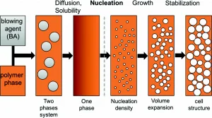 فوم-های-تخم-مرغی-و-یونولیتی